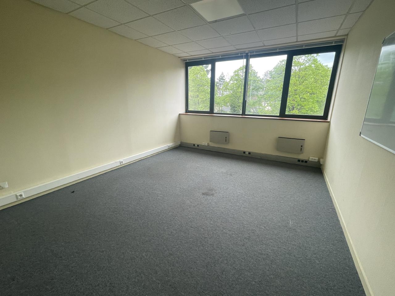 Bureau Rennes 1623m² Location bureau Rennes Ille-et-Vilaine OLBUR2311610 5